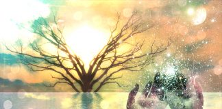 Permettre de refaire le câblage